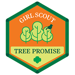 girl scout tree promise patch
